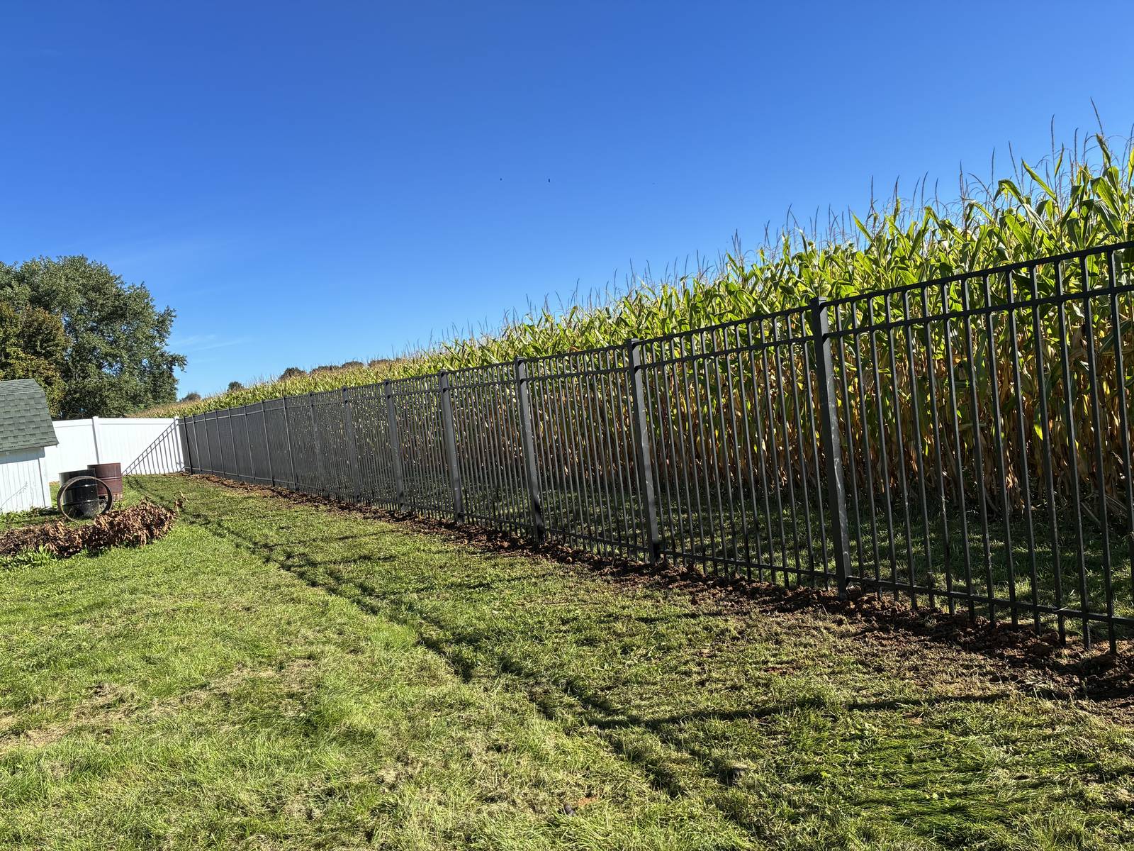 Black aluminum ornamental fence along a rural property line next to a cornfield in Ohio
